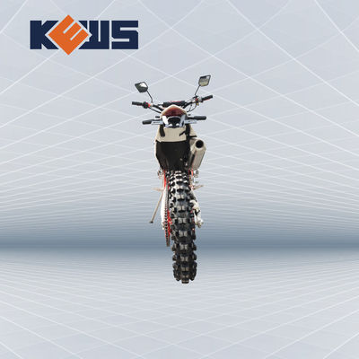K20 모델 유럽 자전거 오토바이 300CC 연료 주입된 경주용 오토바이