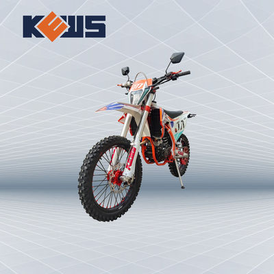 K20 모델 유럽 자전거 오토바이 300CC 연료 주입된 경주용 오토바이