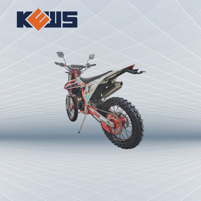 K20 모델 유럽 자전거 오토바이 300CC 연료 주입된 경주용 오토바이