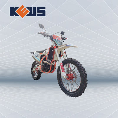 K20 모델 유럽 자전거 오토바이 300CC 연료 주입된 경주용 오토바이