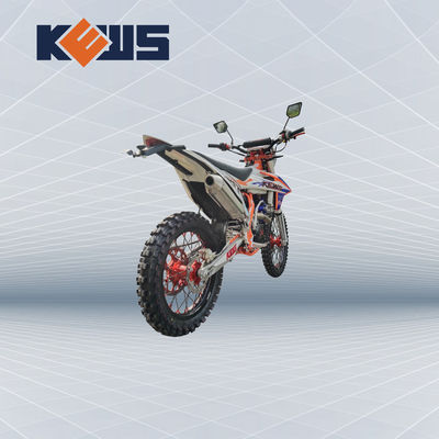 K20 모델 유럽 자전거 오토바이 300CC 연료 주입된 경주용 오토바이
