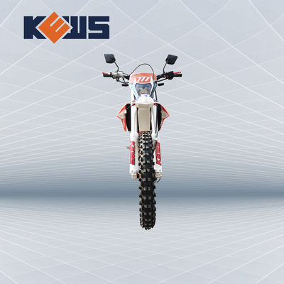 K20 모델 유럽 자전거 오토바이 300CC 연료 주입된 경주용 오토바이